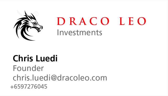 Draco Leo Investments business card